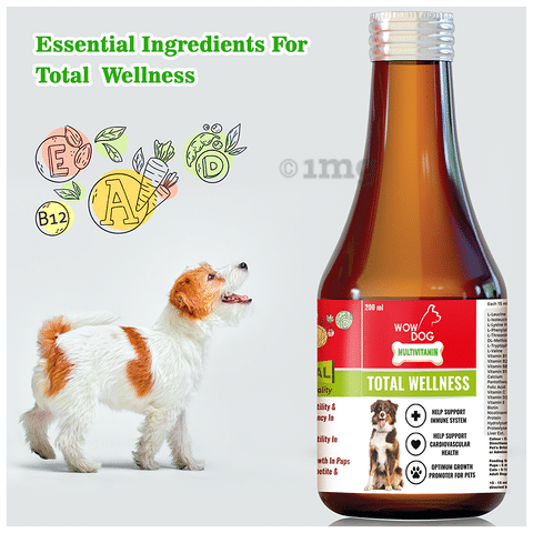 Wow Dog Multivitamin Syurp Supplement with Biotin: Buy bottle of 200 ml  Syrup at best price in India | 1mg