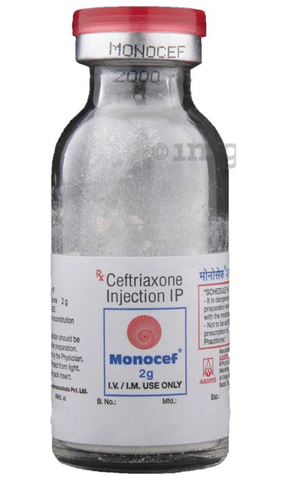 Monocef 2gm Injection image