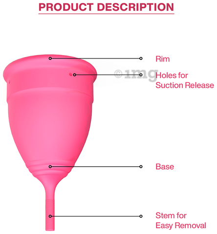FLOH Large Reusable Menstrual Cup for Women: Buy box of 1.0 Cup at