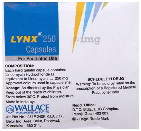 Lynx 250 Capsule image