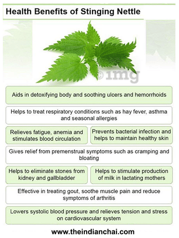 The Indian Chai Organic Nettle Leaves: Buy packet of 100.0 gm Leaves at    in India | 1mg
