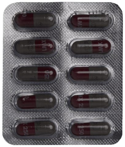 LMX 250 Capsule image LMX 250 Capsule image