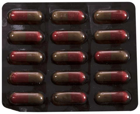 Lynx 500 Capsule image Lynx 500 Capsule image