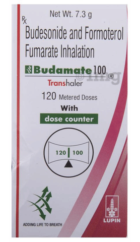 budaMATE 100 Transhaler image