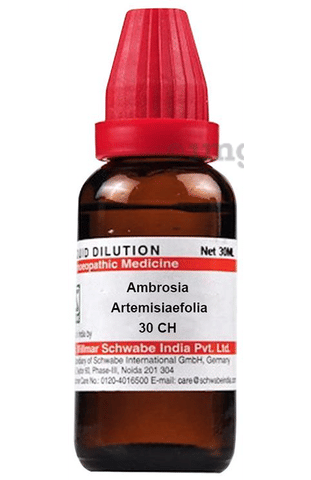 Dr Willmar Schwabe India Ambrosia Artemisiaefolia Dilution 30 CH: Buy  bottle of 30.0 ml Dilution at best price in India | 1mg