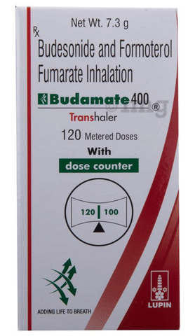 budaMATE 400 Transhaler image