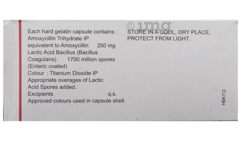 LMX 250 Capsule image LMX 250 Capsule image