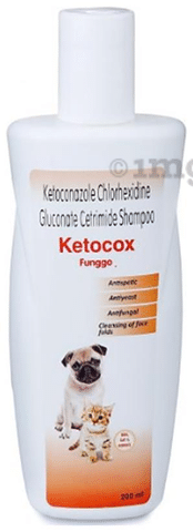 Ketoconazole shampoo for dogs over best sale the counter