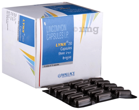 Lynx 250 Capsule image