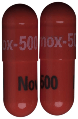 Novamox 500 Capsule image