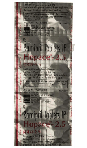 Hopace 2.5 Tablet image