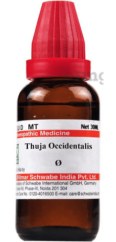 Dr Willmar Schwabe India Thuja Occidentalis Mother Tincture Q: Buy bottle  of 30 ml Mother Tincture at best price in India | 1mg