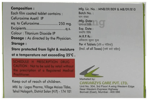 Zorbicef 250 Tablet image