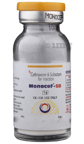 Monocef-SB 1g Injection image