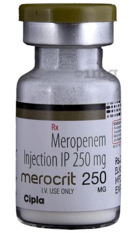 Merocrit 250mg Injection image Merocrit 250mg Injection image