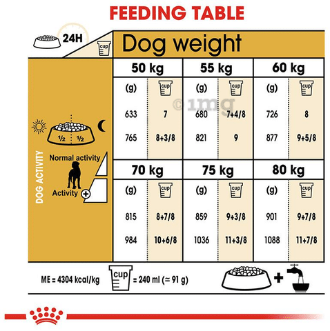 Great dane puppy food amount sales