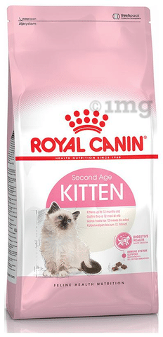 Second sale age kitten