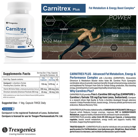 l-carnitine 1000 atlhetica Thermogenic supplement with Acetyl L-Carnitine and BioPerine 