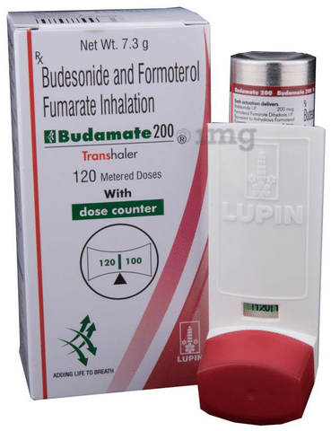 Budamate 200 Transhaler image Budamate 200 Transhaler image