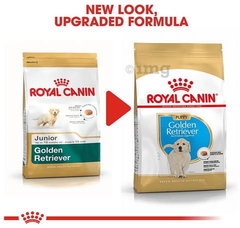 Retriever Dog Food Golden Retriever Food Cost Royal Canin Golden