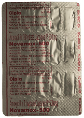 Novamox 500 Capsule image