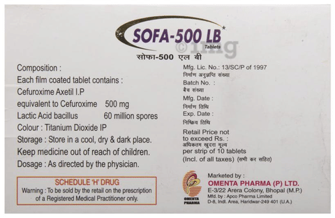 Sofa -500 LB Tablet image