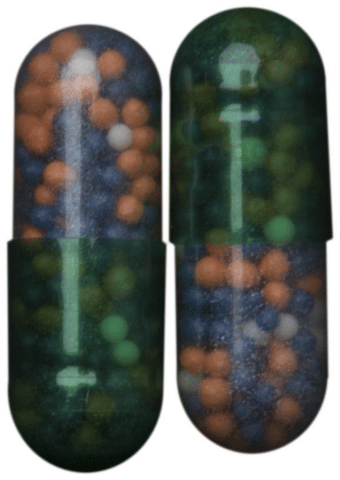 Ulpan-DSR Capsule image