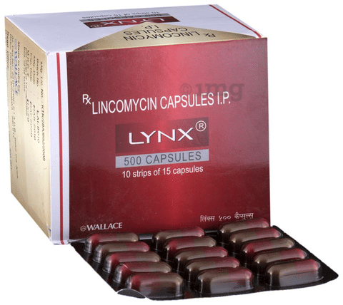 Lynx 500 Capsule image Lynx 500 Capsule image