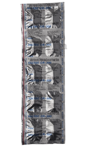 Valtec CR 300 Tablet image Valtec CR 300 Tablet image