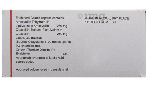 Symbiotik Capsule image Symbiotik Capsule image