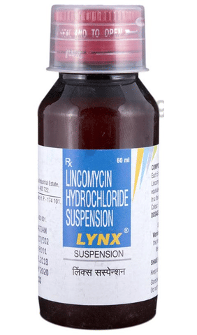 Lynx Suspension image