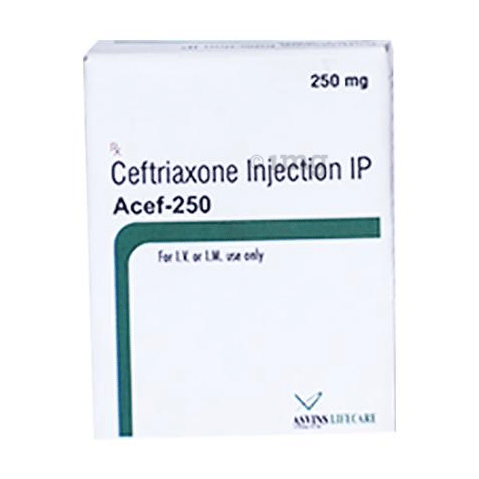 Acef 250 Injection image