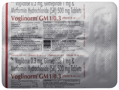Voglinorm GM 1/0.3 Tablet SR image Voglinorm GM 1/0.3 Tablet SR image