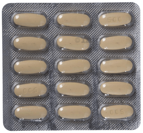 Levesam 500 Tablet image