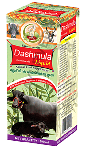 Basic Ayurveda Dashmula Taral 1