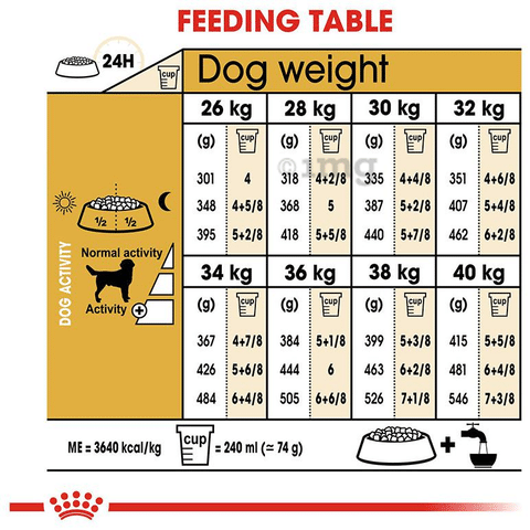 Cheapest royal outlet canin labrador retriever