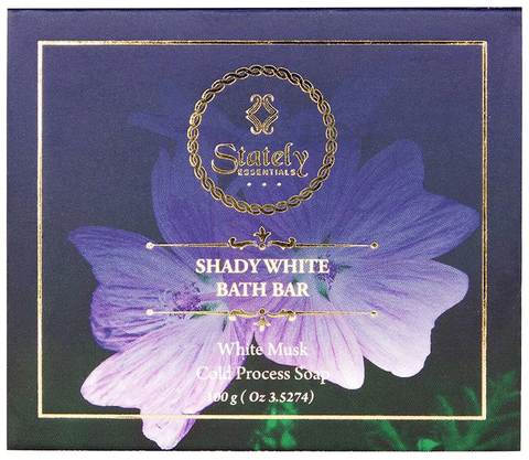 Stately Essentials Shady White Bath Bar image Stately Essentials Shady White Bath Bar image