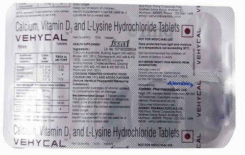 Vehycal Tablet image Vehycal Tablet image