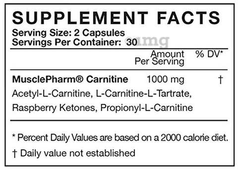 acetyl l carnitine mental health Acetyl L-Carnitine 500 mg Capsules