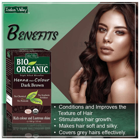 Buy INDUS VALLEY 100 Certified Organic Hair Colour Soft Black   120g2240g Online at Low Prices in India  Amazonin