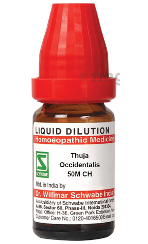 Dr Willmar Schwabe India Thuja Occidentalis Dilution 50M CH: Buy bottle of  10.0 ml Dilution at best price in India | 1mg