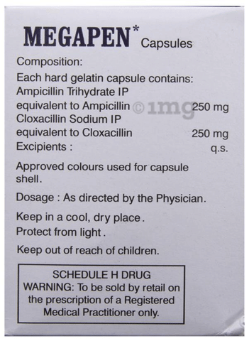 Megapen Capsule image