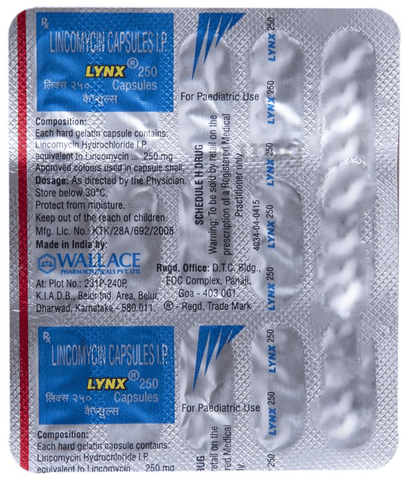 Lynx 250 Capsule image