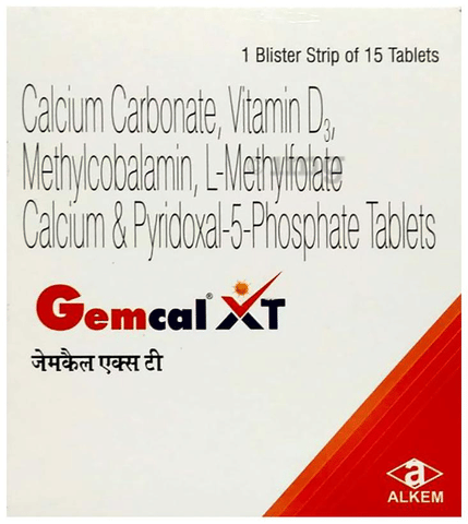 GEMcal XT Tablet image GEMcal XT Tablet image