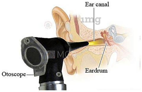 Sku Image