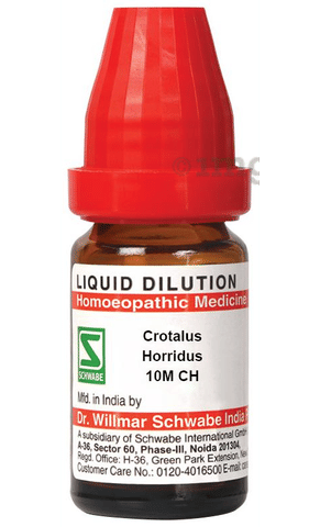 その他 Homeopathy for Todaya??s World Homeopathy For Todays World : Sankaran, Dr. Rajan: Amazon.in