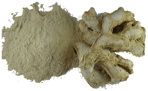 Dark Forest Dry Ginger Powder image