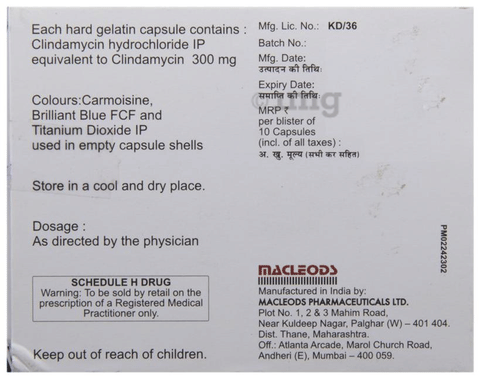 Clindasure 300 Capsule image