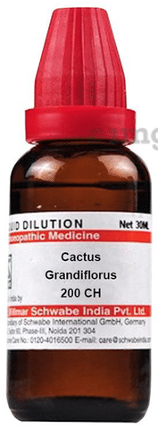 Cactus 200 shop