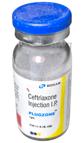 Plugzone 1GM Injection image